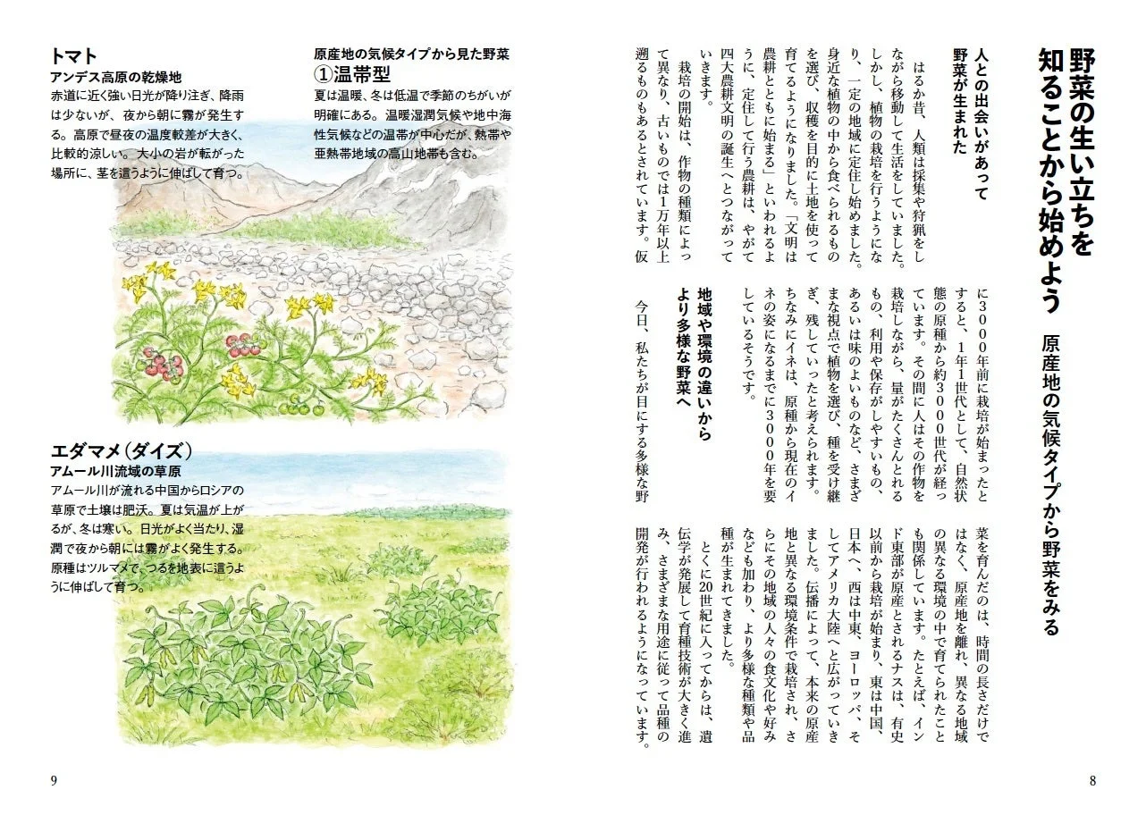 野菜の起源と歴史