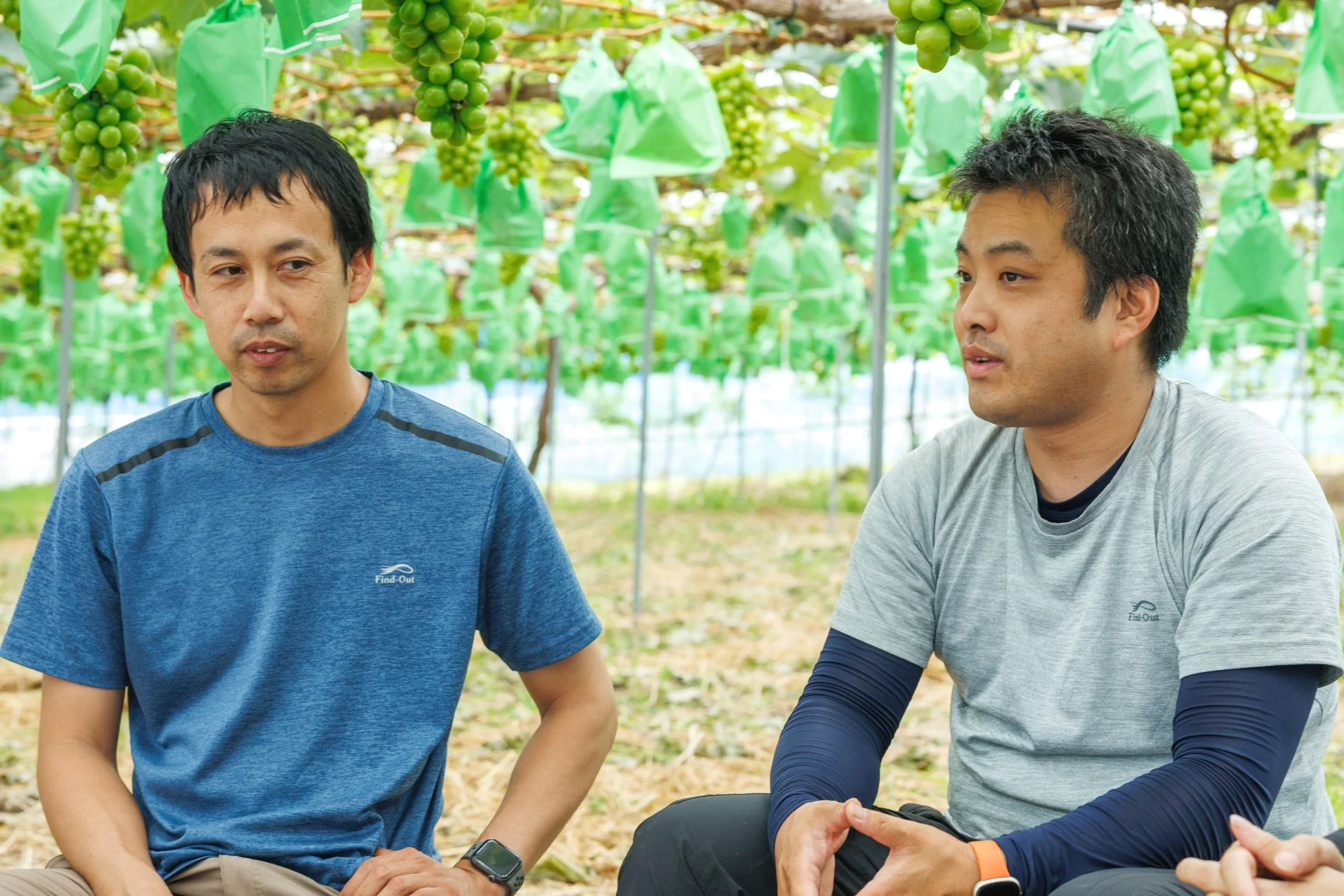 ぶどう畑で二人の男性が座って会話をしている様子