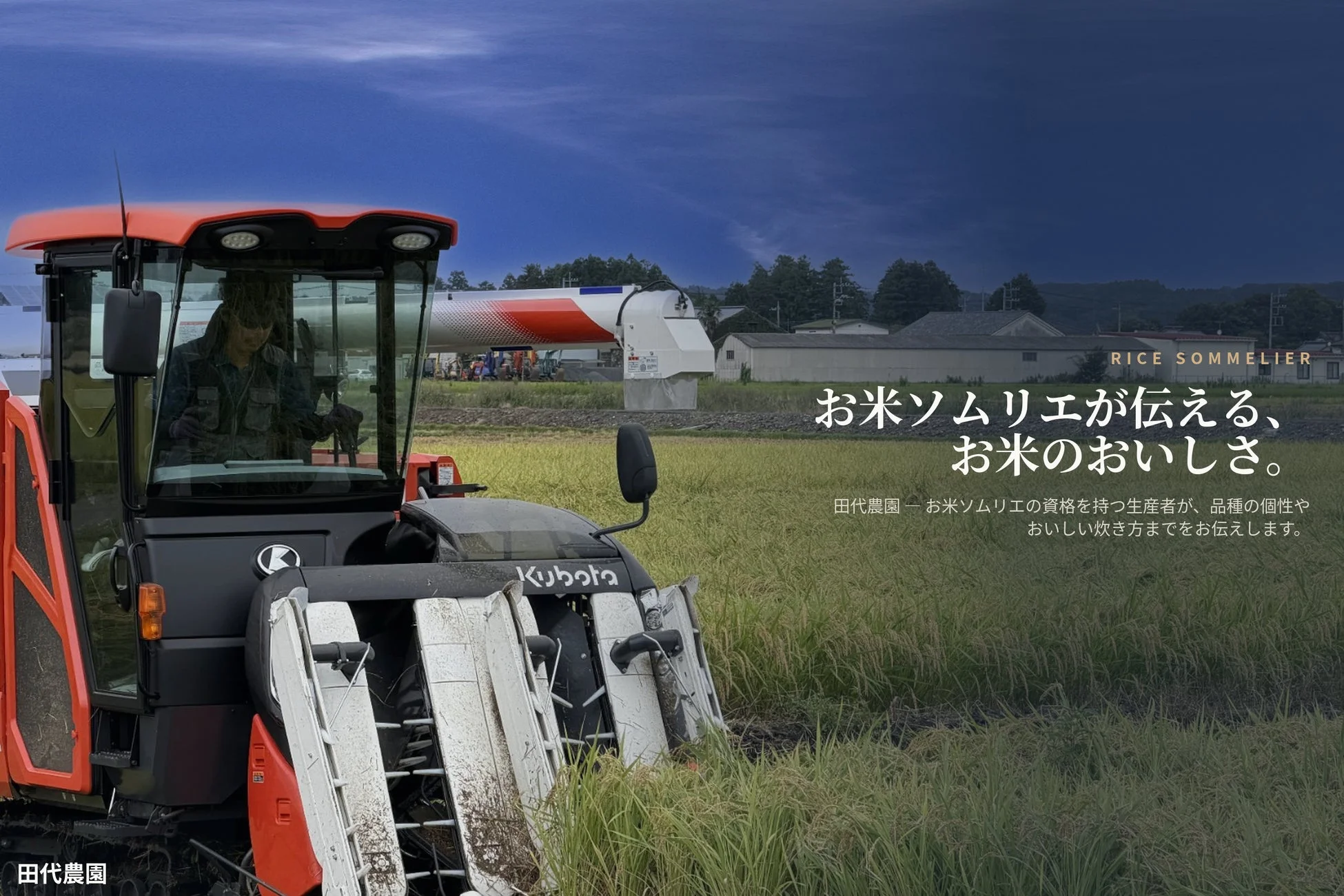 お米ソムリエ