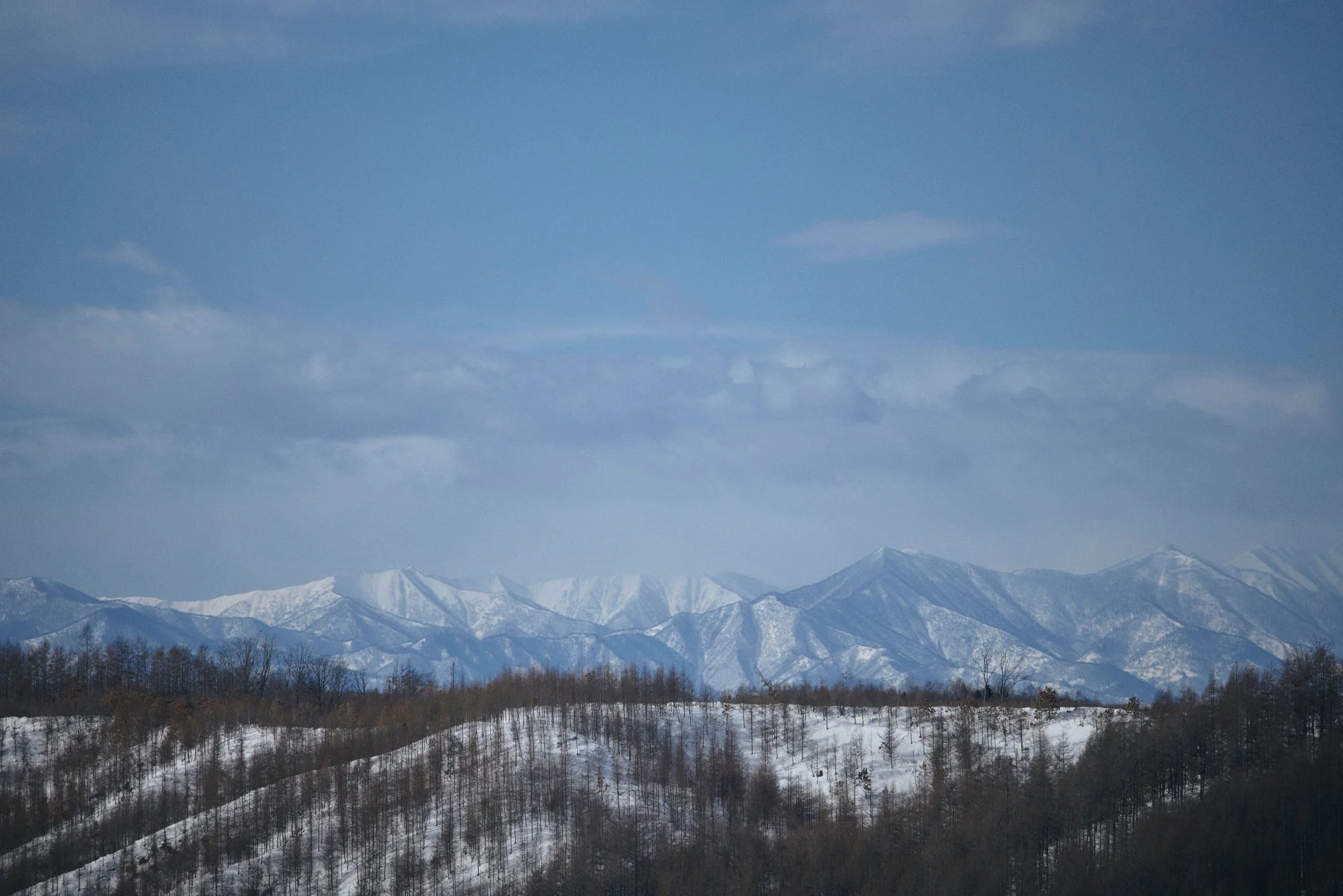 雪を頂いた山々が広がる冬の雄大な自然風景です。手前には雪と裸木に覆われた丘が連なり、澄んだ青空と白い雲が冬の静けさを際立たせています。