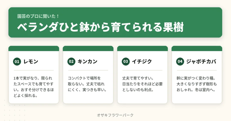 ベランダひと鉢から育てられる果樹