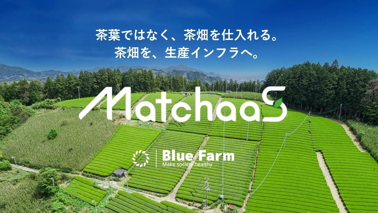 広大な緑の茶畑が広がる風景です。青空の下、中央には「Matchaas」と「Blue Farm」のロゴがあり、「茶葉ではなく、茶畑を仕入れる。茶畑を、生産インフラへ。」というメッセージが書かれています。