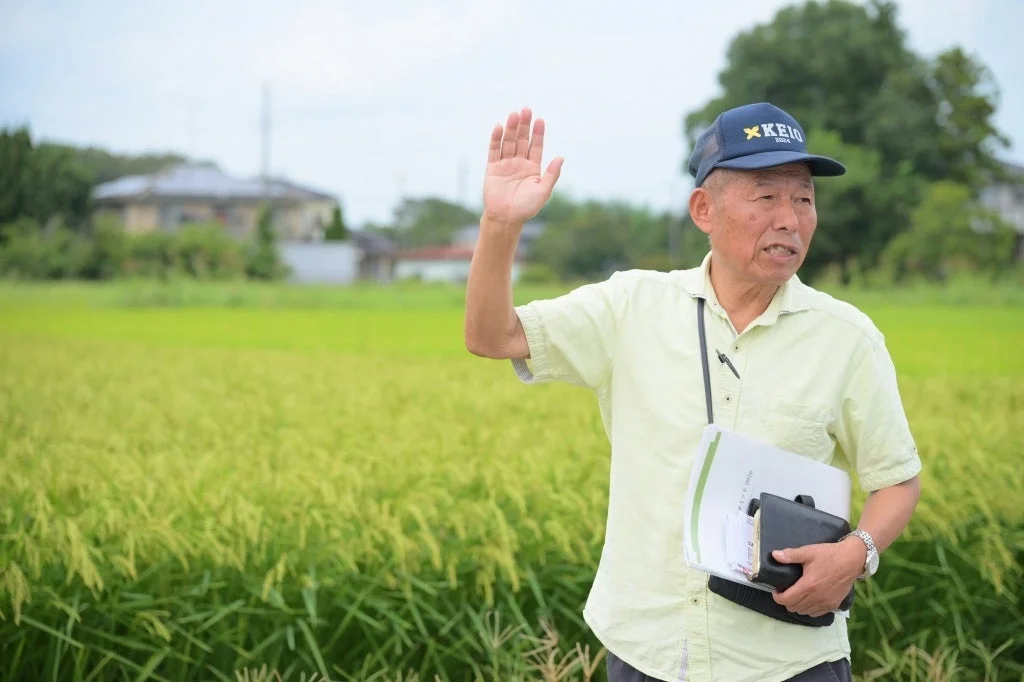 田んぼで説明する男性