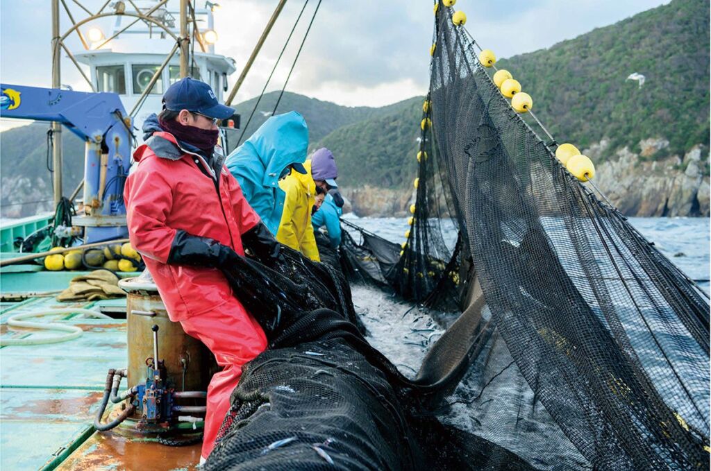 大起水産で長崎＆五島の新鮮な魚を味わおう！「長崎＆五島フェア」＆回転寿司連動イベント！