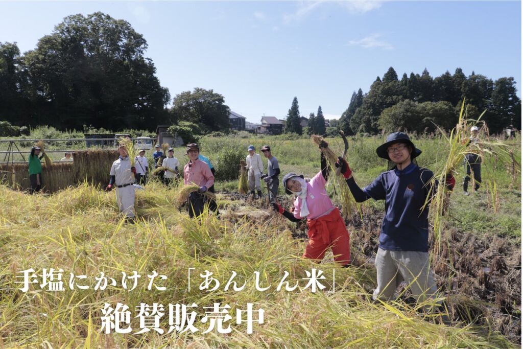 13年放置の荒廃地を水田に復元して6年目　農福連携で育てた天日干し「あんしん米」の新米が販売開始
