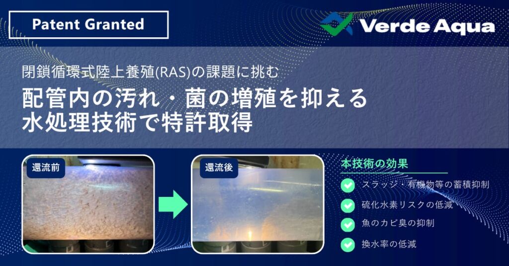 閉鎖循環式陸上養殖の配管内の汚れ抑制を図る水処理技術、ベルデアクアが特許取得