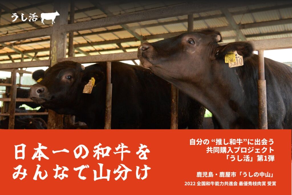 日本一の和牛を予約・共同購入で「山分け」 畜産農家への還元を目指す「うし活」がCAMPFIREで始動