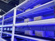 きのこを育て、そのCO₂を植物へ。FIVORが新型きのこ栽培装置「TAMATE BOX KASAJIZO」を11月16日発売開始