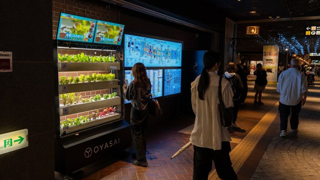 天神地下街に「食べられる観葉植物」 OYASAIが水耕栽培ユニットで都市型農業の実証を開始