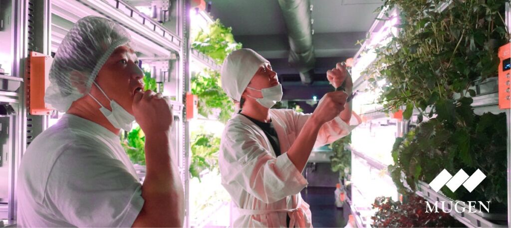 アマゾン料理人・太田哲雄氏、植物工場MUGENFARM「ガストロノミー・アドバイザー」に就任