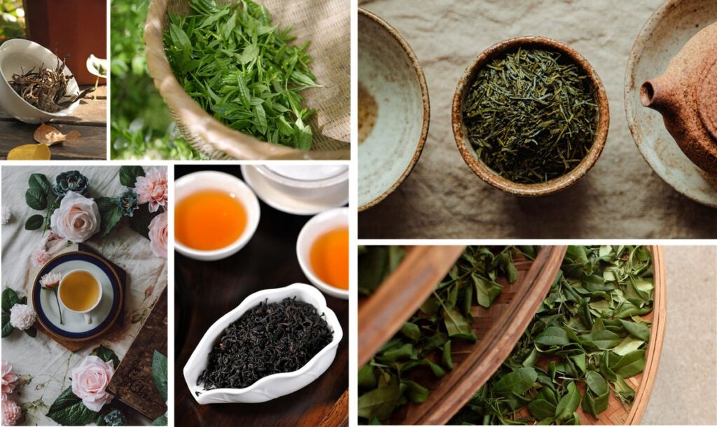 狭山茶の産地・所沢で4日間のお茶の祭典「喫茶来 TOKOROZAWA TEA FES 2026」、セミナーやワークショップが充実