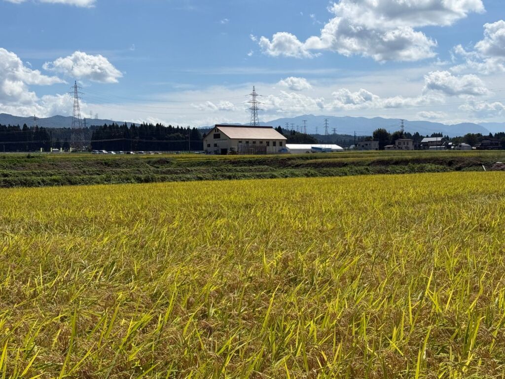 食品残渣を“捨てない”援農リサイクルループ新潟県十日町市における地域循環型農業モデルで収穫した魚沼産コシヒカリ「TOIRO」を販売～東京駅の自動販売機やECでの販売・ふるさと納税・米粉製品開発へ展開～