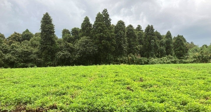 ワタミファームが信濃屋 代田食品館で初のフェア、10月22日(木)に旬の生鮮野菜と加工品を販売